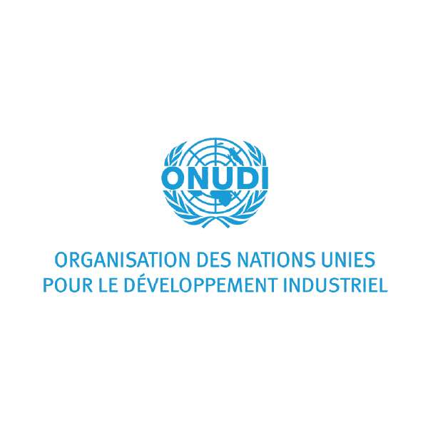 PNUD - Programme des Nations unies pour le développement